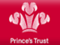 Princes Trust *