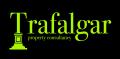 Trafalgar Property Consultancy Ltd